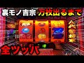 【吉宗 裏モノ】最高89000枚記録した台で万枚出るまで全ツッパした結果...