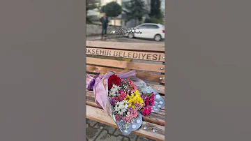 اليسا ولما بتجيلي شوية ورد اليسا ملكة الاحساس اغاني حب حالات واتس 