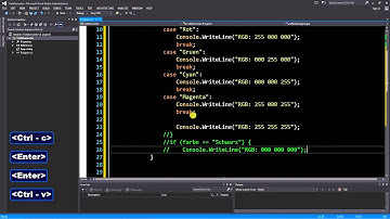 C# für Beginner - 06: Switch Anweisung Demo