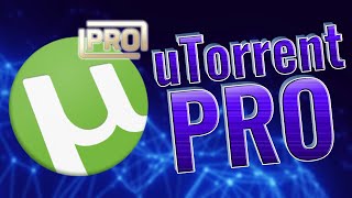 Install torrent PRO: the quick way to start downloading and organizing files screenshot 5