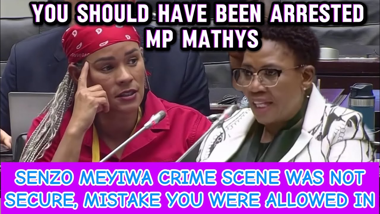 EFF MATHYS - SENZO MEYIWA CRIME SCEME WAS EASY TO ACCESS AND CONTAMINATE 