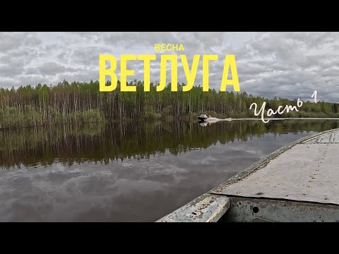 Видео: Открытие сезона на Ветлуге. Чудо-чай. Часть 1.