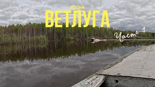 Открытие сезона на Ветлуге. Чудо-чай. Часть 1.