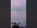 Azaad parinday 🫶🏻❤️ #viral #trending #ytshorts
