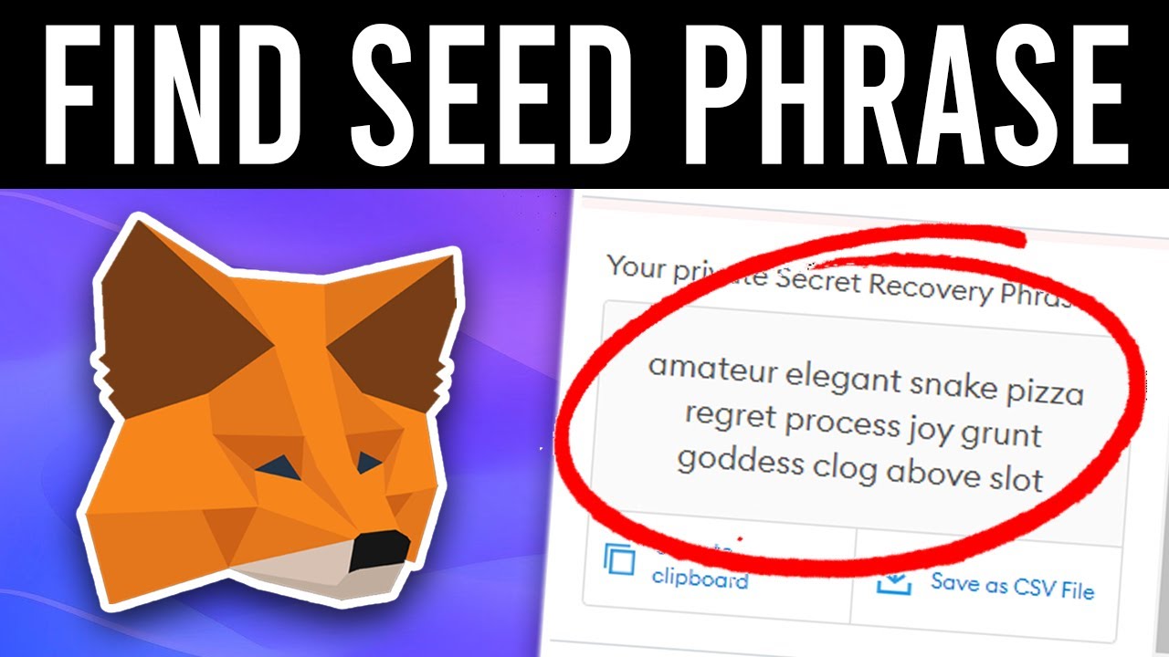 metamask private key vs seed phrase