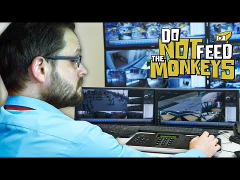 СТРАХОВЩИКИ И МУЗЫКАНТЫ ► Do Not Feed the Monkeys #3