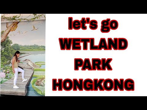 walking around wetlandpark hongkong #wetlandpark #wetlandparkhongkong