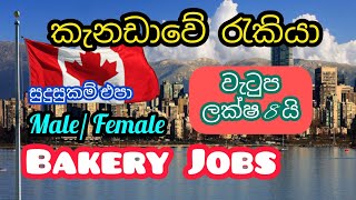 කැනඩාවේ බේකරි රැකියා. Bakery Jobs කාන්තා/ පිරිමි. සුදුසුකම් එපා foreign job vacancies in canada visa