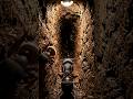 I Mounted a Camera on a Leafcutter Ant 🐜 | Inside Their Secret Underground City #LeafcutterAnt