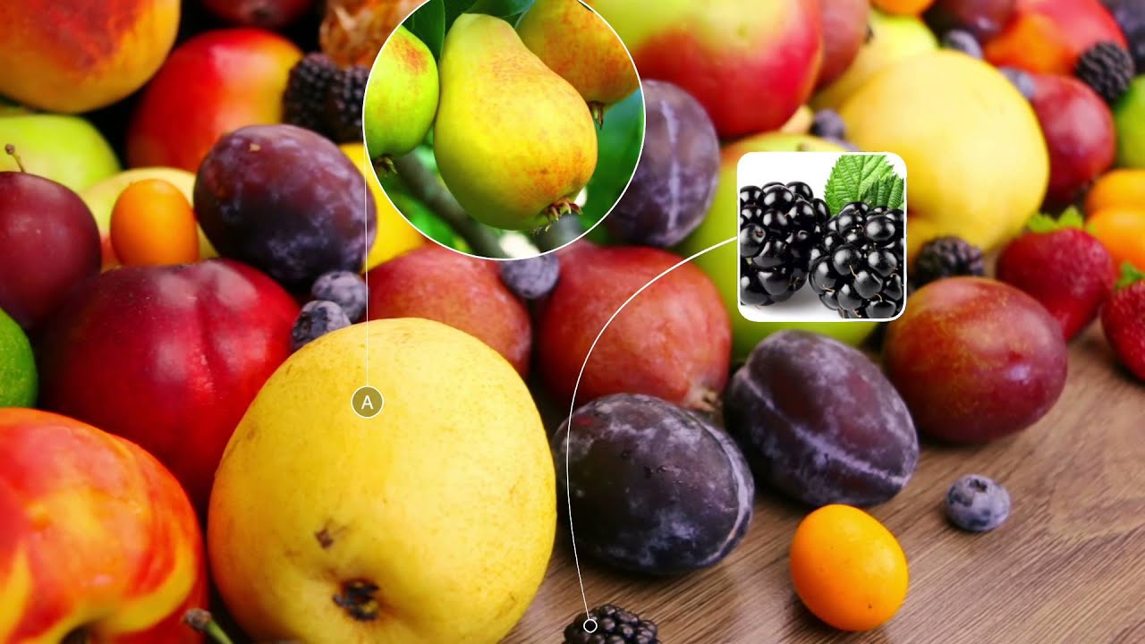 Pixel Film Studios - ProDicator Curve - Curved Line Indicators - Final Cut Pro X FCPX