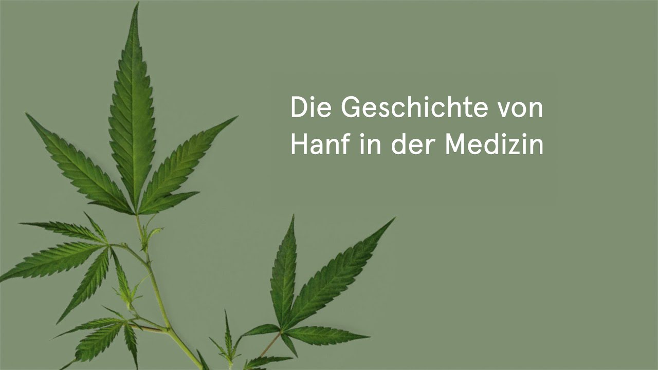Die Geschichte von Hanf in der Medizin 🌱 BioBloom.