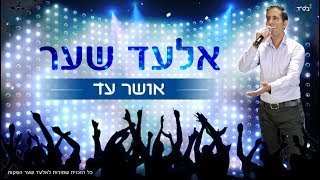 אלעד שער אושר עד  | Elad Shaer Osher Ad