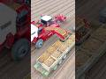 Potato Harvest Grimme Varitron