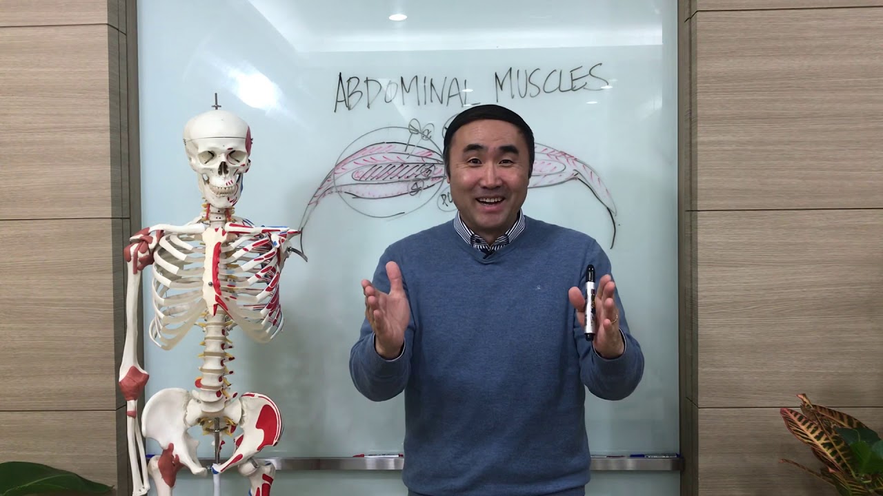 [홍정기교수의 고급기능해부학] 복근과 허리통증 II 편