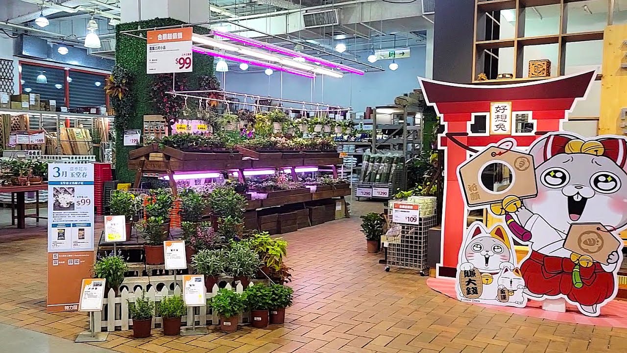 Big Box Store Plants in TAIWAN YouTube