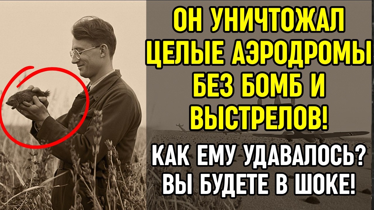Как ОДИН советский биолог уничтожил немецкие аэродромы БЕЗ ЕДИНОЙ БОМБЫ!