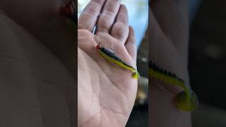 Catching a Redbreast Sunfish with Googan Baits Snacky Swimmer Soft Plastic Fishing Lure #fishing