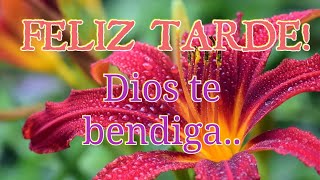 Dios te bendiga grandemente en esta bella tarde