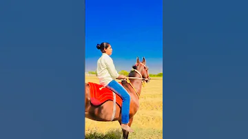 Horse Riding By A Beautiful Indian Village Girl In Farm Horseriding Shorts Horsetraining 