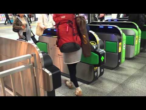 Tourists trapped outsmart automatic ticket barrier Tokyo Japan