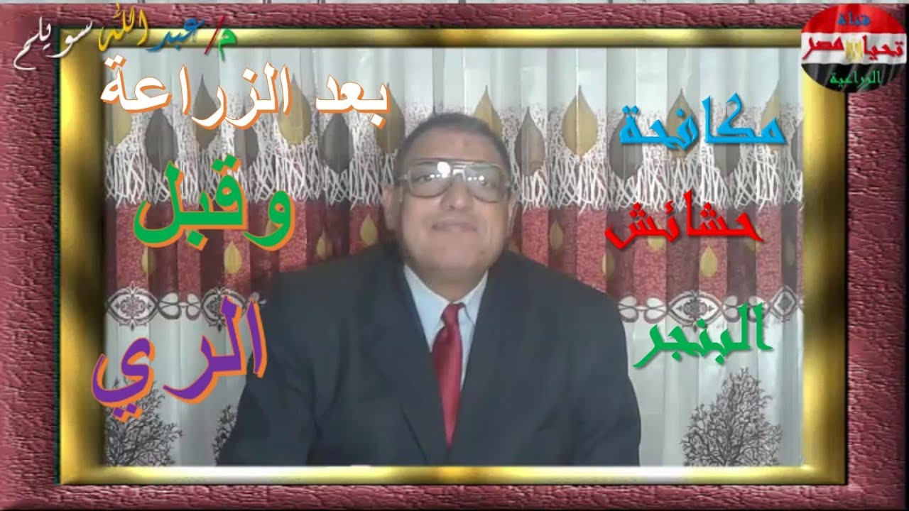 مبيدات حشاش البنجر بعد الزراعة وقبل الري