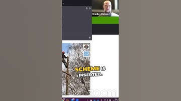 Local Business Schema: Homepage vs Location Pages