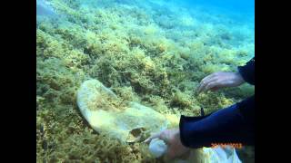 Project Aware Eilat