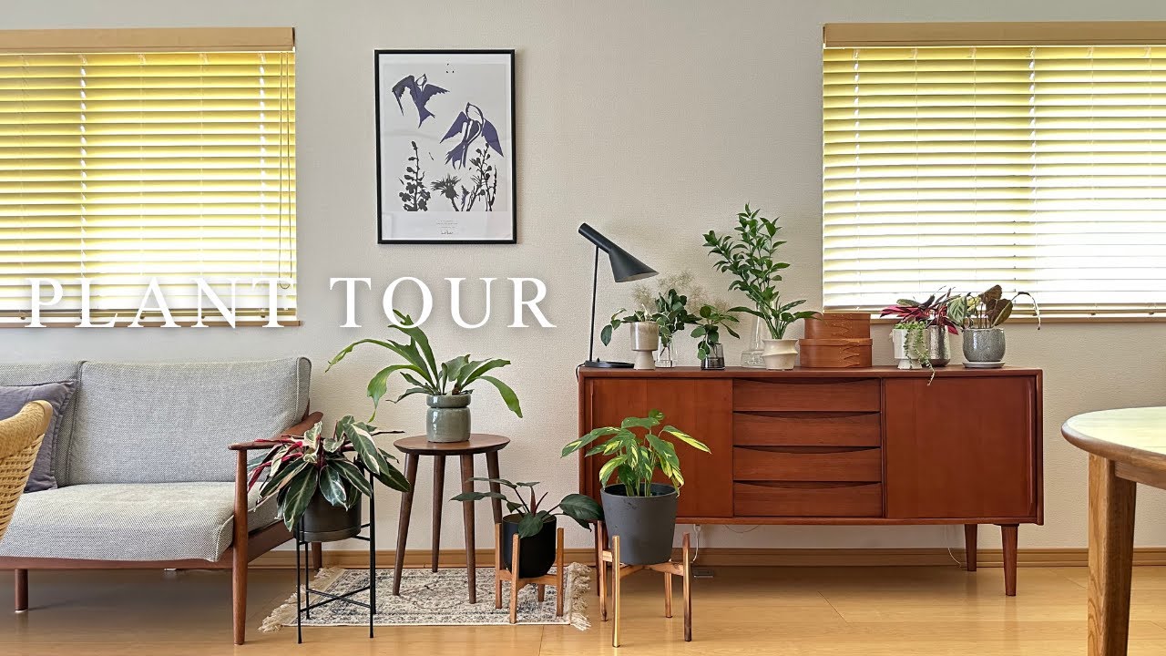 【Plant Tour】インテリアに映えるおしゃれな観葉植物・プランター｜インテリアグリーン