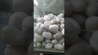 Azad Pebal Stone 73038477688850612527