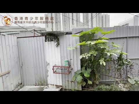 第三屆【社創。社區4.0 】比賽 x 香港青少年服務處 賽馬會天平綜合青少年服務中心—上水社區導賞