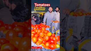 International Red Tomatoes