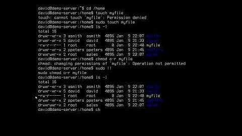 Managing file permissions and ownership in Ubuntu Server