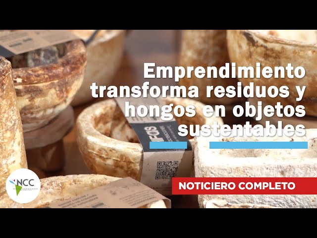 Emprendimiento transforma residuos y hongos en objetos sustentables | 798 | 29/09/25 al 05 /10/25