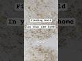 DON'T Do Any Partial Repairs While SELLING...