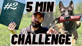 MENTALLY & PHYSICALLY EXHAUST YOUR DOG IN 5 MINUTES! TOUCH PAD EDITION!