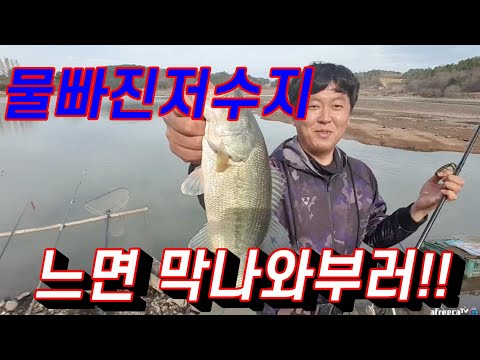 물빠진 저수지 완벽한 <strong>스쿨링</strong> 완전 느나!!!BassFishing バス釣り