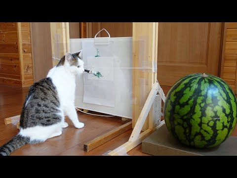 【夏休みの宿題】スイカを描くみり。-Miri paints the watermelon.-