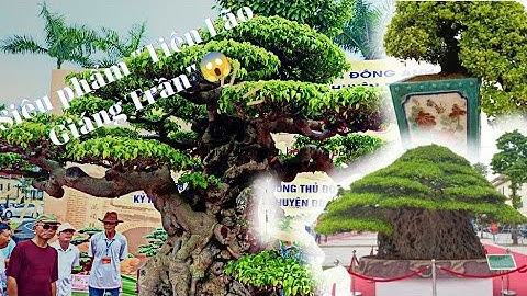 Không khí cực nóng, tại triển lãm Đông Anh Hà Nội 2022 - P2