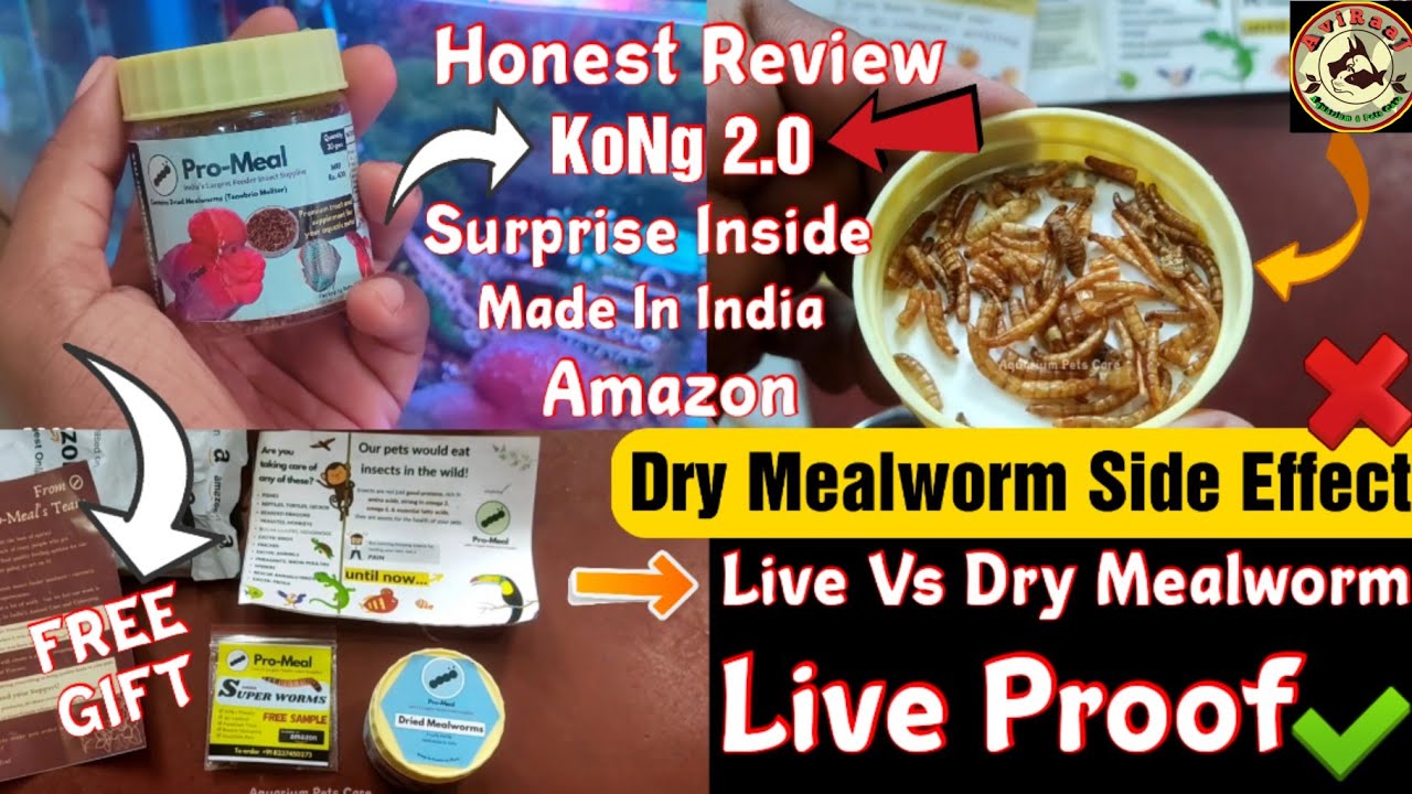 Pro Mealworms, Dried Mealworms, Mealworms Live, Mealworm protien, Flowerhorn Mealworms,worms