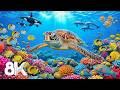 Calm Underwater World 8K ULTRA HD — Coral Reef Ambience &amp; Peaceful Piano Music for Stress Relief