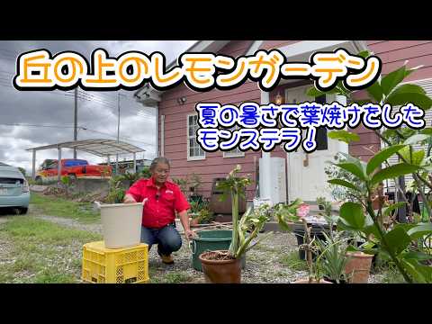 HIDE-1-ヒデさん - YouTube