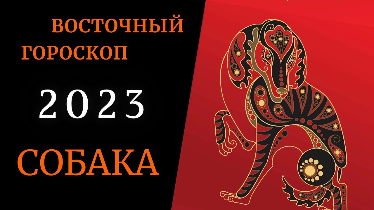 Гороскоп На 2023 Дева Женщина Собака