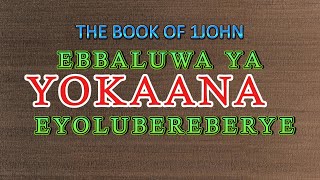 1 YOKAANA