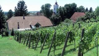 Download Harkány-máriagyűd-siklós-villány-drávaszabolcs.....na és A Dráva Video MP3 Harkány-máriagyűd-siklós-villány-drávaszabolcs.....na és A Dráva