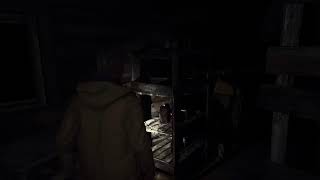 RESIDENT EVIL VIII PS5 PRO