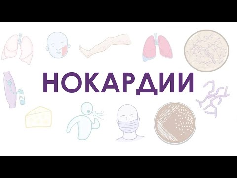 EASY ANATOMY | Мне нужны гарантии...