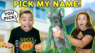 LETTING Our SUBSCRIBERS Pick Our PUPPY'S NAME! *HELP US* | The Royalty Family