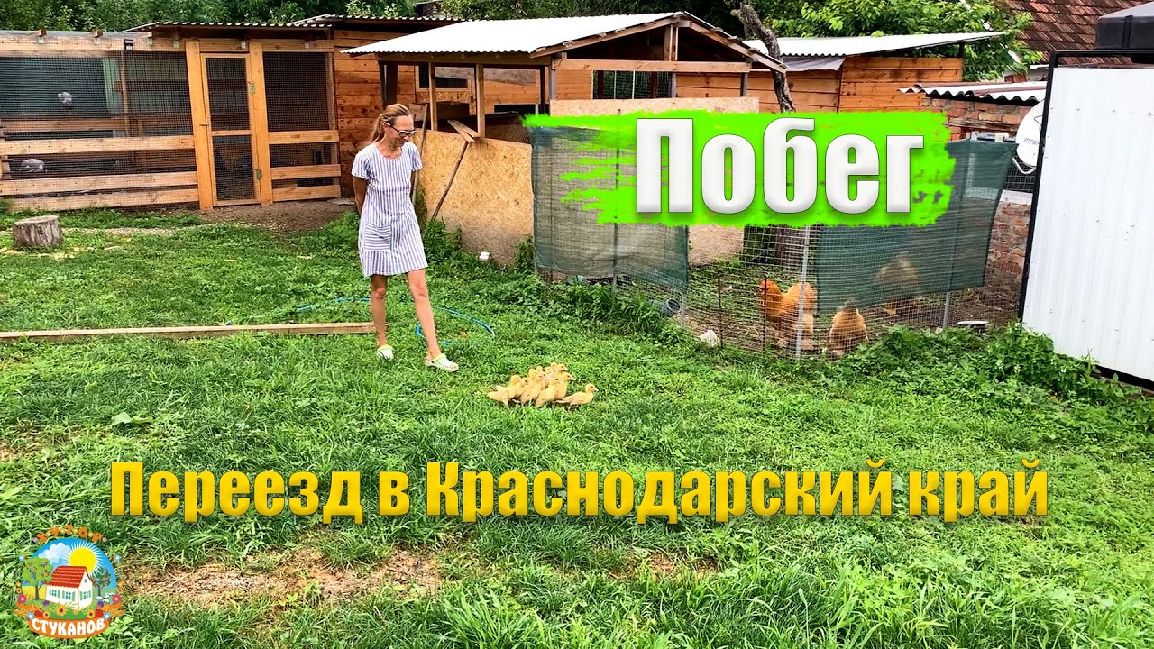 Хутор Стуканов Ютуб Новые Видео 2022 Года Хутор Стуканов Ютуб Новые Видео 2022 Года