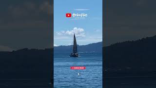 Sailing Yacht di Laut Ambon #shorts #yacht #sailing