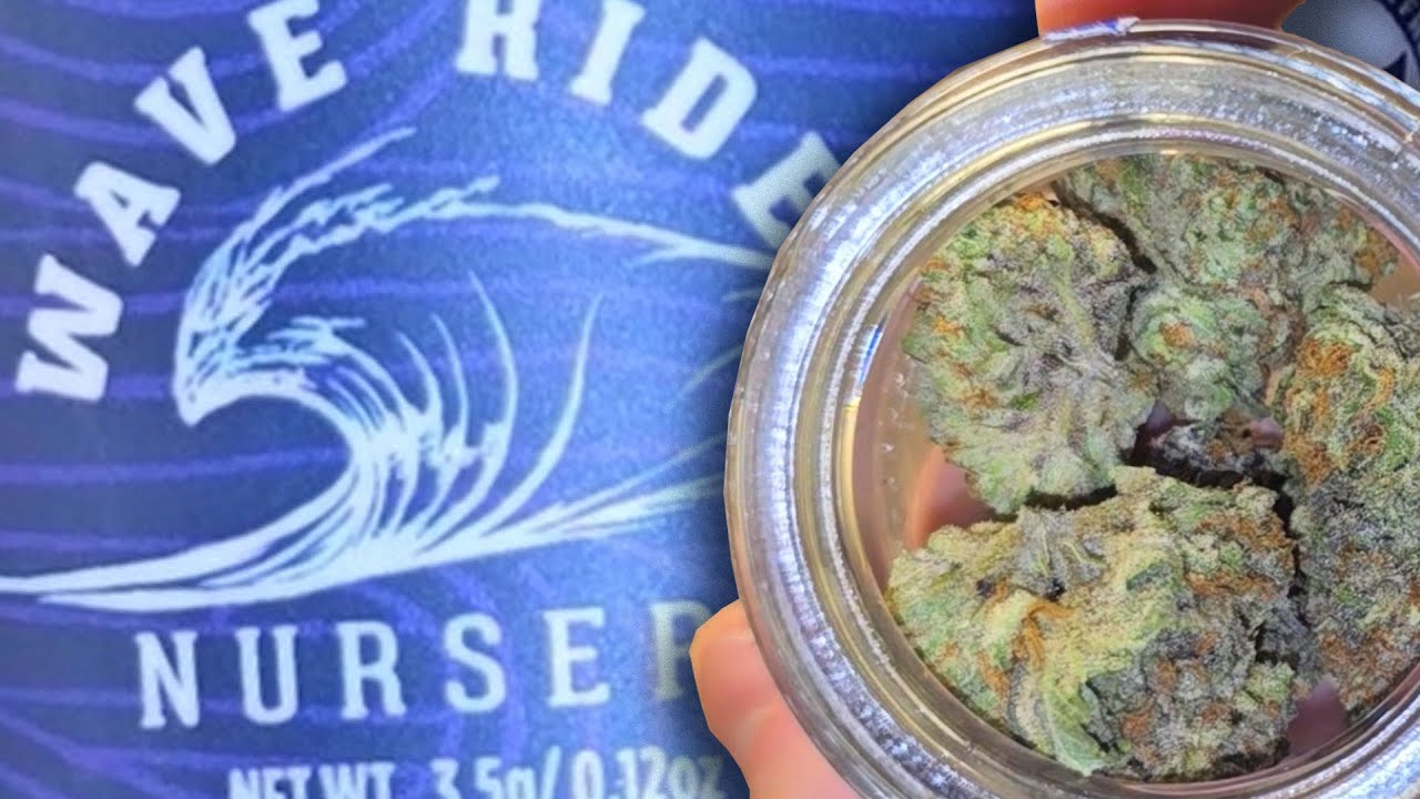 Cali Weed Strain Review | Blueberry Pancakes is the Talk of the Budtenders Is it Worth the Hype?